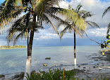 Blue Venado - Beach Wedding thumb 6